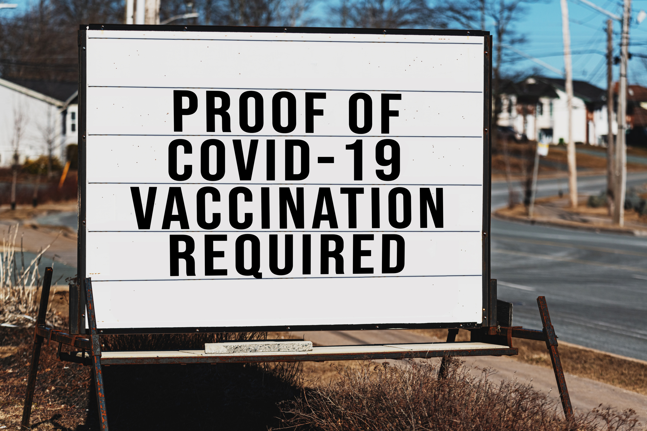 COVID-19 Vaccine Proof