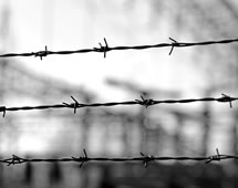 barbed wire