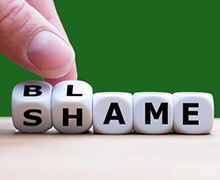blame shame cubes