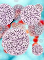 hpv disease