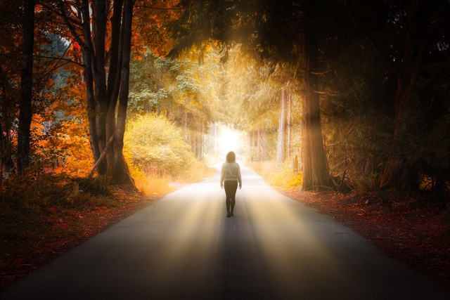 PHOTO-Woman-walking-on-path-with-trees-autonomy-copy.jpeg PHOTO-Woman-walking-on-path-with-trees-autonomy-copy.jpeg