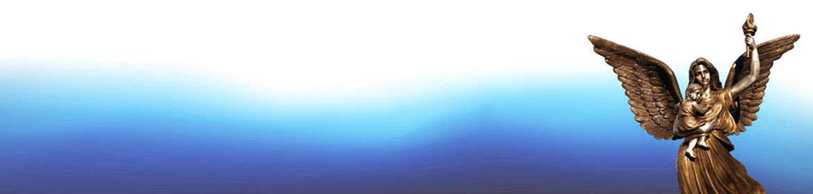 Intro banner